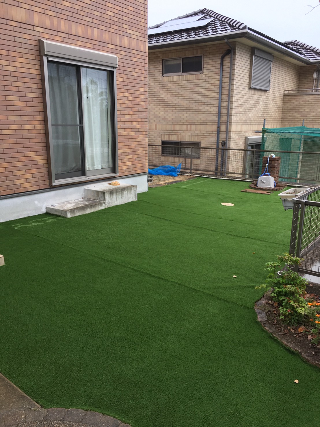 大型犬の遊べるお庭 施工事例 お庭を楽しむ最高品質の人工芝 エコグラス